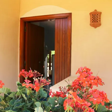 Elicriso Villa *