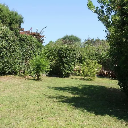 Elicriso Villa *